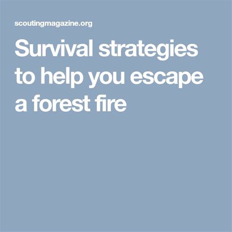 Survival Strategies To Help You Escape A Forest Fire Forest Fire