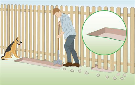 How To Keep A Dog From Digging Up Your Yard