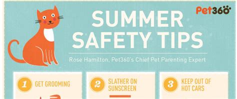 Summer Pet Safety Tips Infographic Joy Of Living