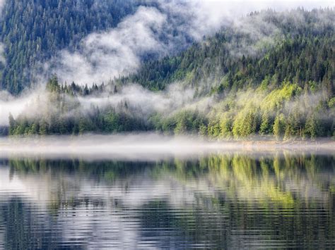 The Most Beautiful Forests In The World Photos Condé Nast Traveler
