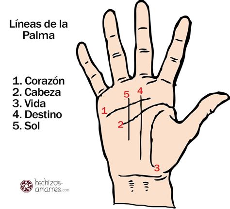 ¿qué Significan Las Líneas De La Mano Significados E Interpretación