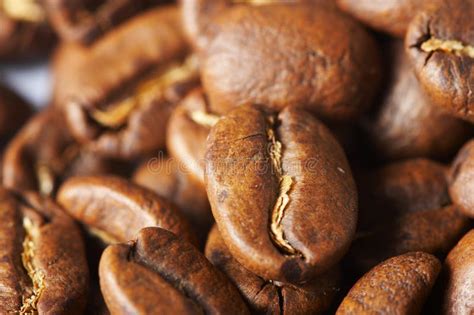 Coffee Grains Stock Photo Image Of Caffeine Exciting 7174432