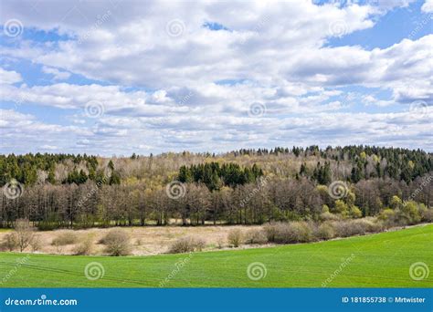 Spring Countryside Landscape Green Agricultural Field Near Forest