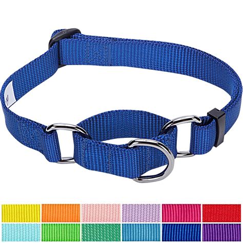 Ready To Upgrade Your Puppys Collar Game Check Out These Top 10