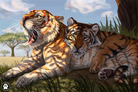 Tigers In The Shade By Likklelydia On Deviantart