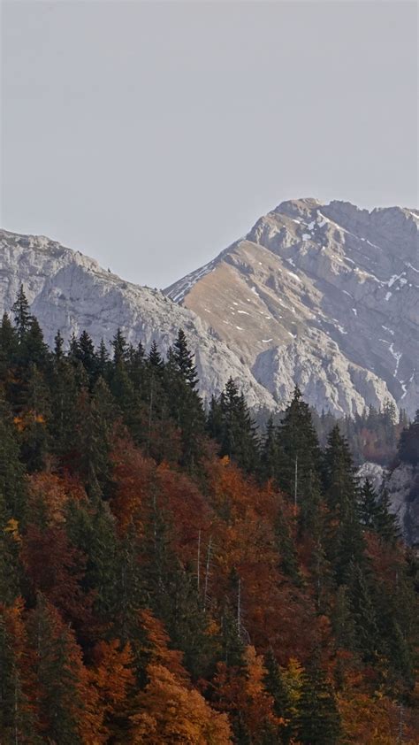 Landscape View Of Mountains And Colorful Autumn Leafed Trees Covered