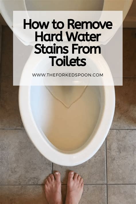 How To Remove Hard Water Stains From Toilets The Forked Spoon