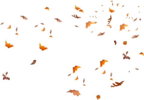 Autumn Png Isolated Pic Png Mart