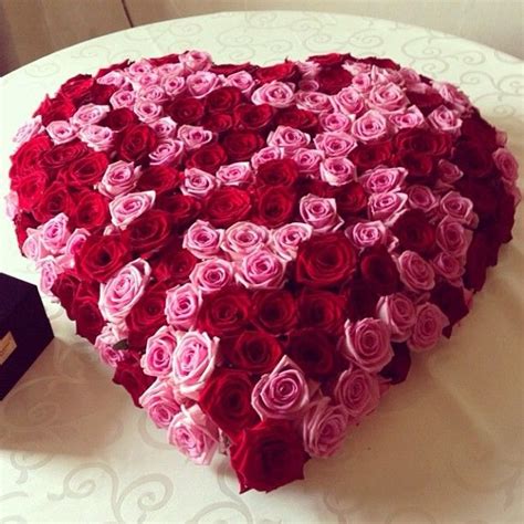 ℒℴvℯly Red And Pink Roses Beautiful Flowers Valentine Day Love