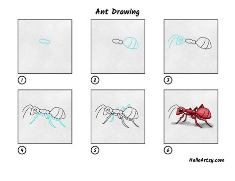 Ant Drawing Torres Legreasing