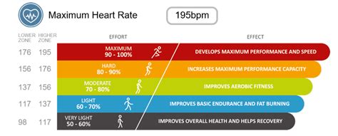 Exercise Heart Rate Training Zones Healthy Performance
