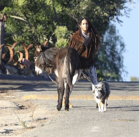 Lisa Bonet Out With A Donkey And A Dog 11062017 Hawtcelebs