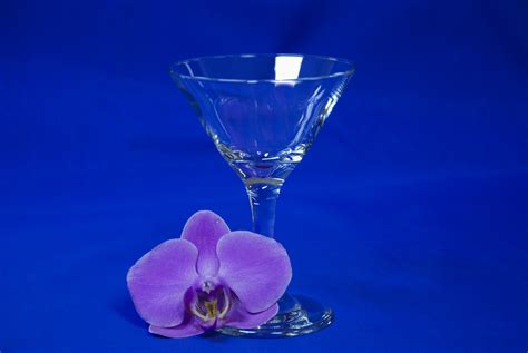 Martini Glass 5oz In Glassware At Ellco Rentals Event Equipment And Wedding Rentals In Barbados