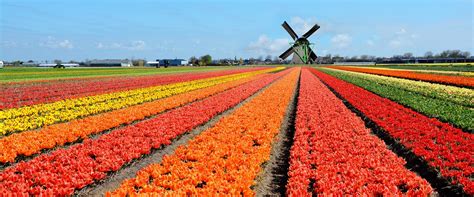 Jump to navigation jump to search. NT2 Dossier | Emigreren naar Nederland