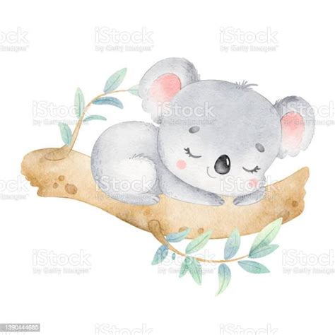 Illustration Of Cute Cartoon Koala Sleeping Isolated On White Ba Stock