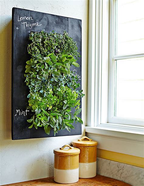 Your Ultimate Guide To Growing Herbs Indoors Living Wall Planter