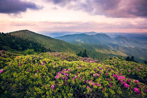 Roan Mountain State Park Is A Top Tennessee Outdoor Attraction