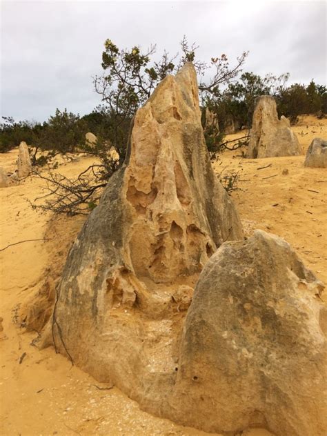 The Pinnacles Of Nambung Traveling Bytes