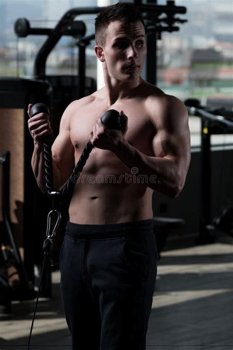 Bodybuilder Exercising Biceps Stock Image Image Of Athlete