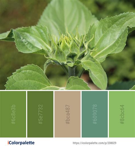 Color Palette ideas from 2965 Leaf Images | iColorpalette ...