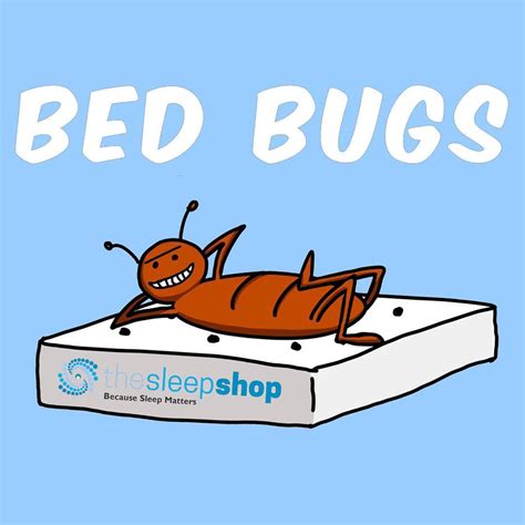 Bed Bugs The Sleep Shopie