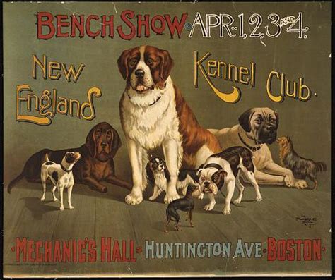 Vintage Posters Animal Vintage Posters Printable Vintage Dog Dog