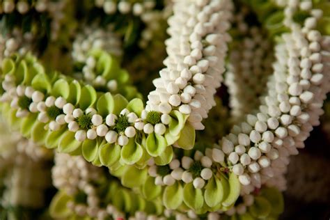Wedding garlands and hindu weddings. Jasmine Garland (With images) | Garland wedding, Beautiful ...