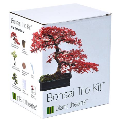Bonsai Starter Kits Bonsai Tree Gardener
