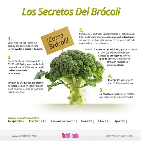 ¿conoces Todas Las Propiedades Del BrÓcoli El Brócoli Es Un Alimento