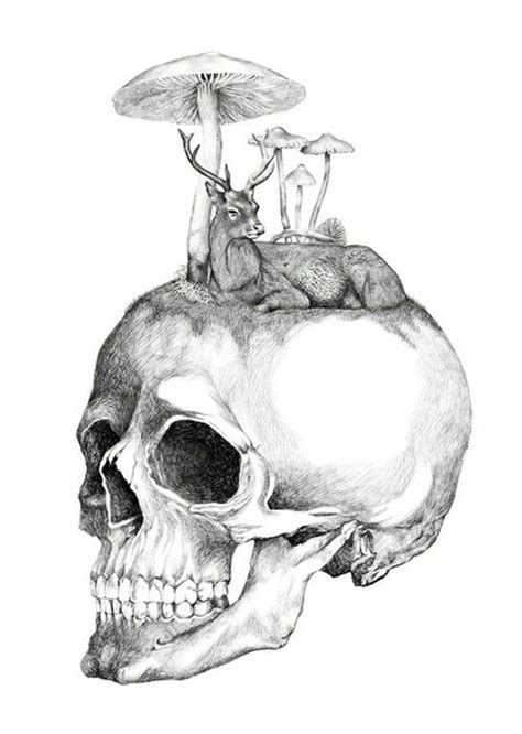 Pin By Charles Brock On Skulls Galore Mushroom Art Skull Art