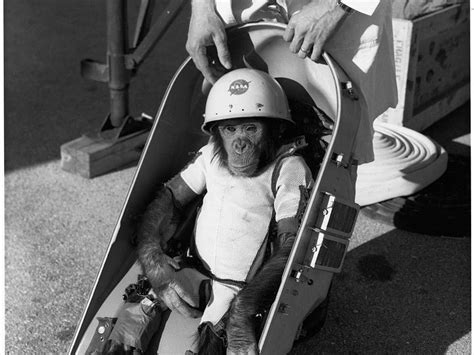 Cheers To Ham The Chimp The First Us Primate In Space Today