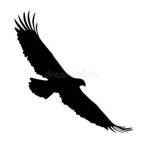 Silhouette Black Eagle Flying Stock Illustrations 6937 Silhouette