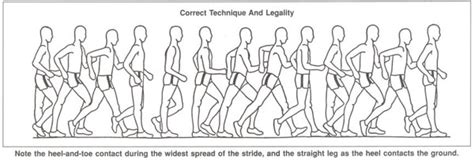 Maybe you would like to learn more about one of these? Competitive Walkers - Turtle Krawl 5K
