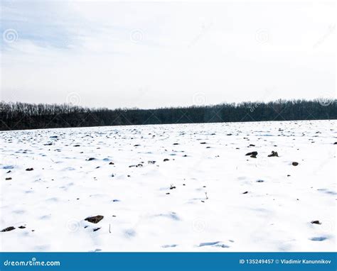 Winter Field And Forest Stock Image Image Of Frosty 135249457