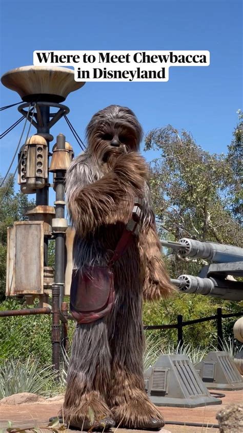 Where To Meet Chewbacca In Disneyland In 2022 Disney Fun Facts