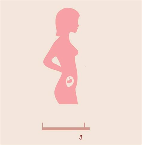 Den checklistenpunkt „ultraschalluntersuchung finden sie auch in unserer großen schwangerschaftscheckliste zum abhaken. 12. SSW: Das passiert in der 12. Schwangerschaftswoche ...