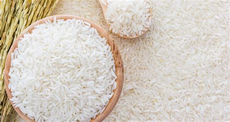 csir-scientists-introduce-three-improved-rice-varieties-to-farmers-the-ghana-report