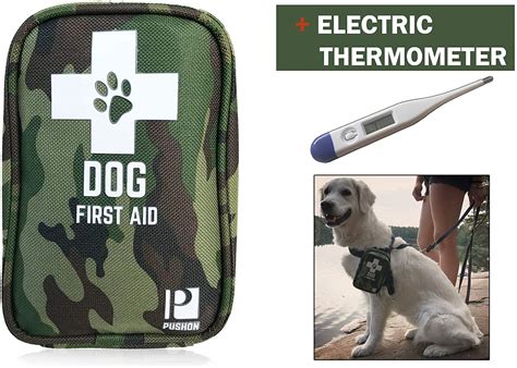Dog First Aid For Camping Common Injuries And Treatments Diy Dog First