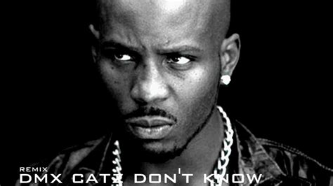 Dmx Catz Dont Know Remix 2013 Version Youtube