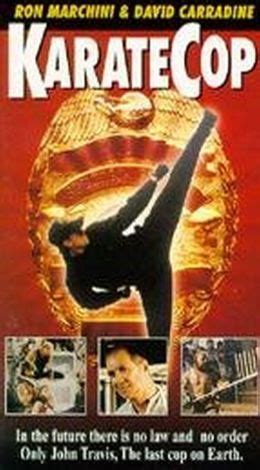 Karate Cop Alan Roberts Synopsis Characteristics Moods Themes And Related AllMovie