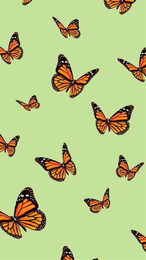 Aesthetic Butterfly Wallpaper Vsco Pc