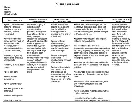 Care Plan Examples Mental Health Care Plan Client Care Plan On A