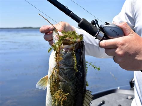 A $25 tackle warehouse coupon card with purchase of a 13 fishing sport z casting reel. Fitzgerald Fishing VLD 10 Casting Reel | Karl's Bait & Tackle