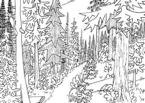 Coloring Pages Of Nature Visual Arts Ideas