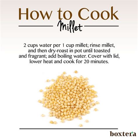 How To Cook Millet A Guide To This Nutritious And Versatile Grain Thoroughly Nourished Life