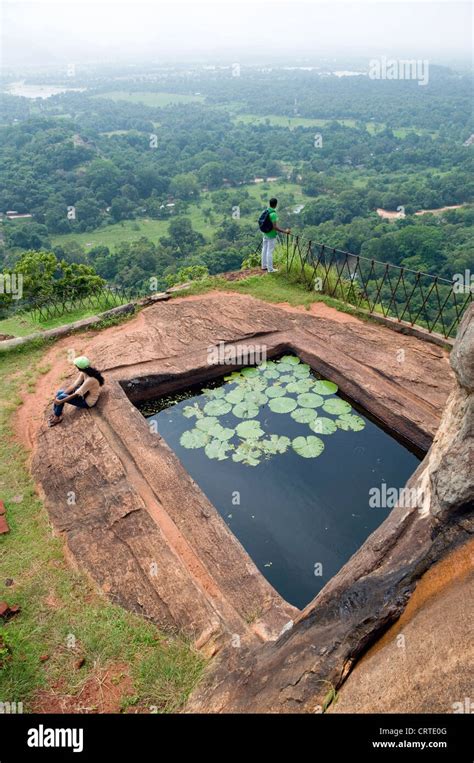 Sri Lankan Couple By A Small Pond With Water Lillies At The Summit Of
