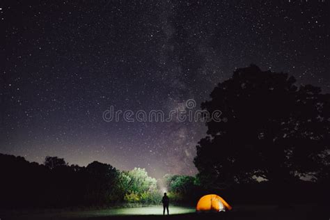 Mujer Acampando Con Carpa En El Bosque Por La Noche Con Cielo