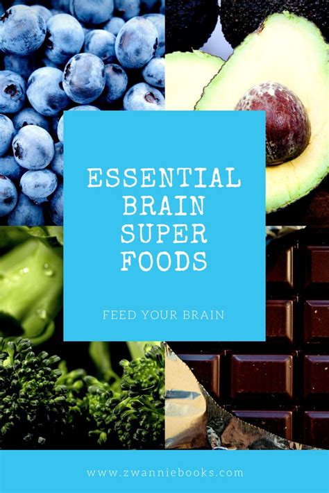 Feed Your Brain To Boost Your Memory And Concentration