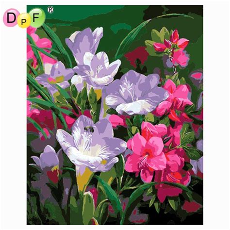 Dpf Diy Oil Painting Colors Morning Glory Paint On Canvas Acrylic