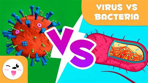 Viruses Vs Bacteria What Are Their Differences YouTube